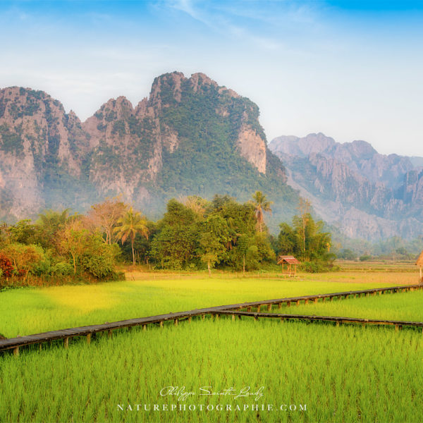 Vang Vieng Rizières et montagnes de Vang Vieng