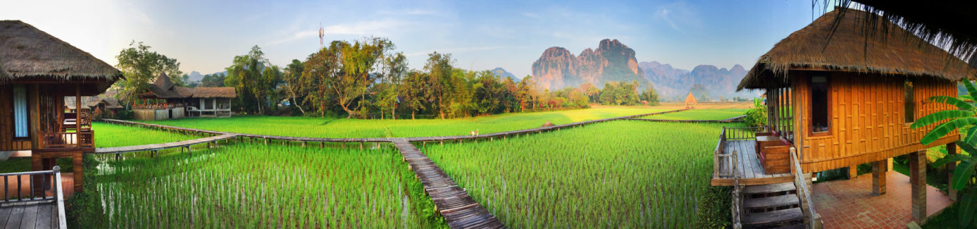 Rizière à Vang Vieng