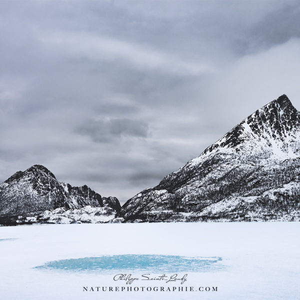 Back to Earth Back to Earth