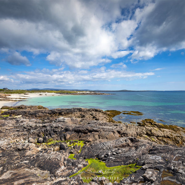Day in the Sun in Ireland