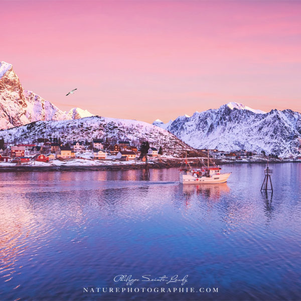 Pink Northern Un bateau de pêche dans le port de Reine en Norvège