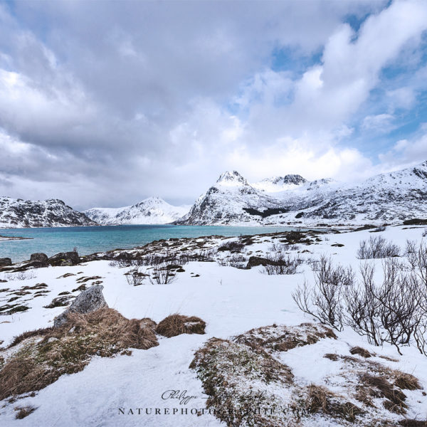 Soul Surrender Soul Surrender