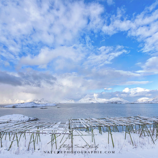 Sweat Thursday Sweat Thursday