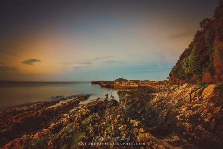 The Missing Light