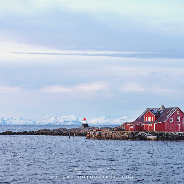 To the Sea To the Sea