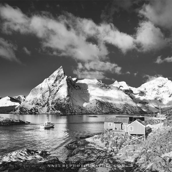 True Story True Story