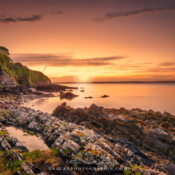 Waiting on the Night