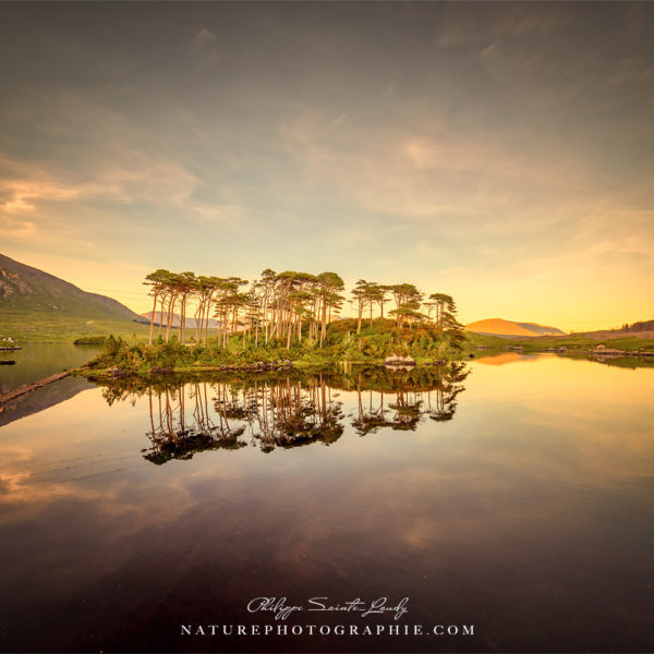 Spot photo du Connemara
