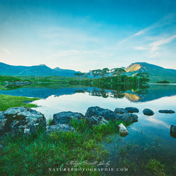 Connemara Landscape