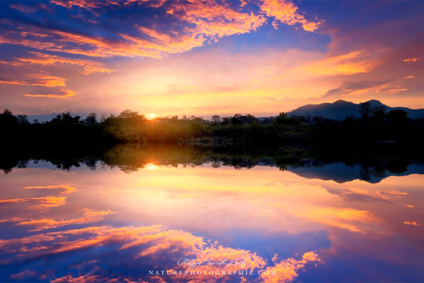 Dialogues with the sea Dialogues with the sea