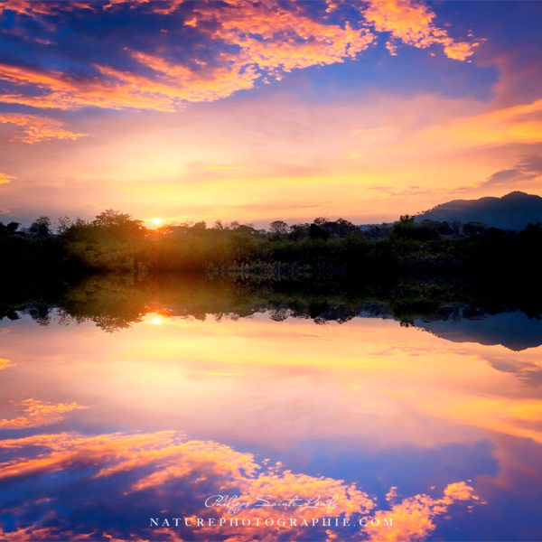 Dialogues with the sea Dialogues with the sea