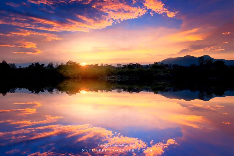 Dialogues with the sea