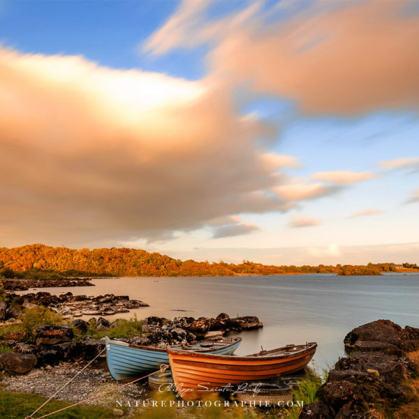 Exeption to the Rule