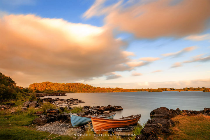 Exeption to the Rule