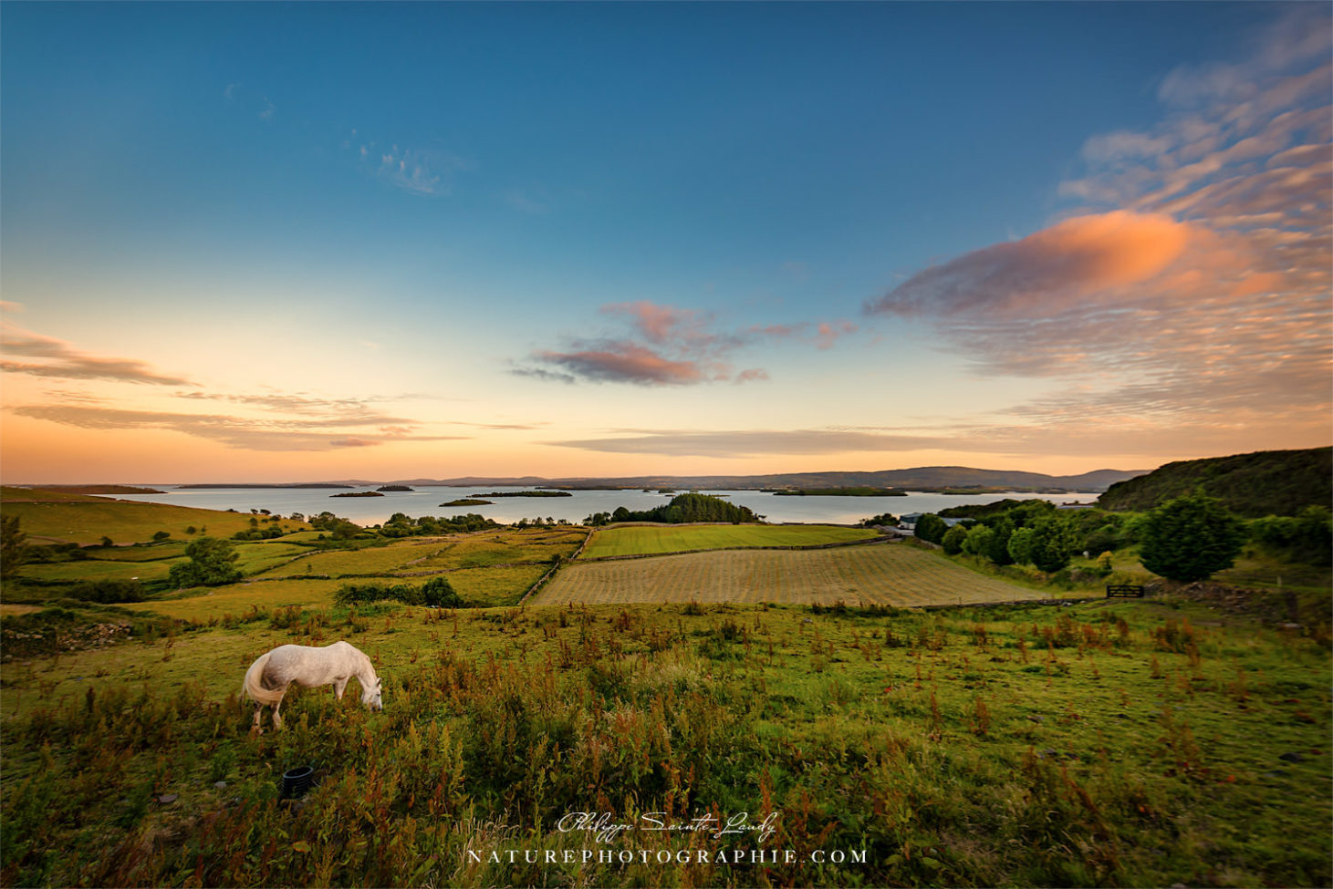 Freedom is not Just a Word