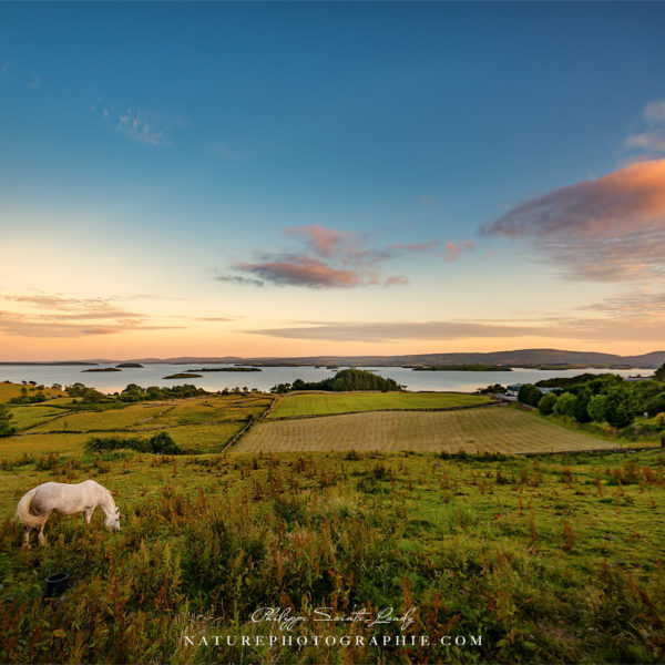 Freedom is not Just a Word