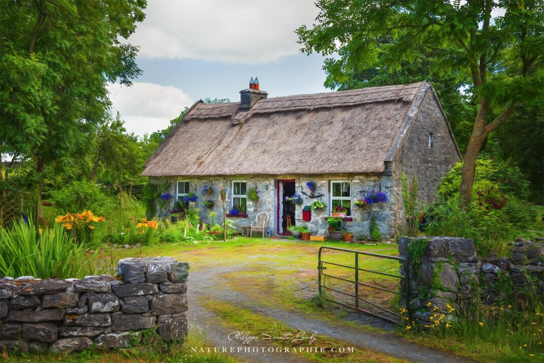 Irish House