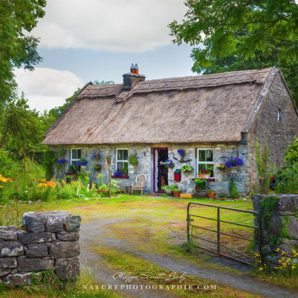 Irish House