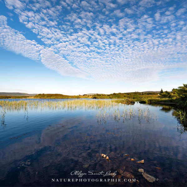 Just a Few More Days