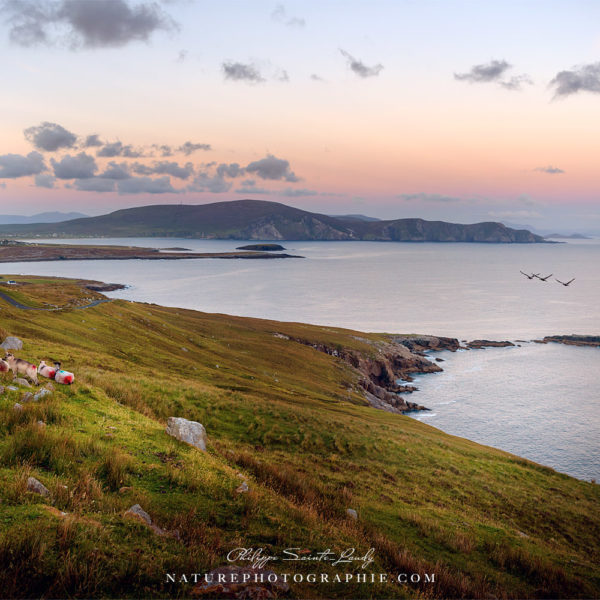 Keem Bay at Dusk