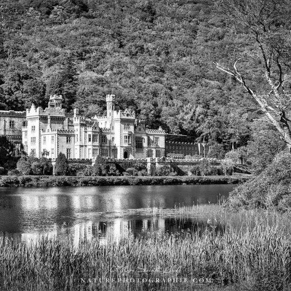 Kylemore Castle in Black and White