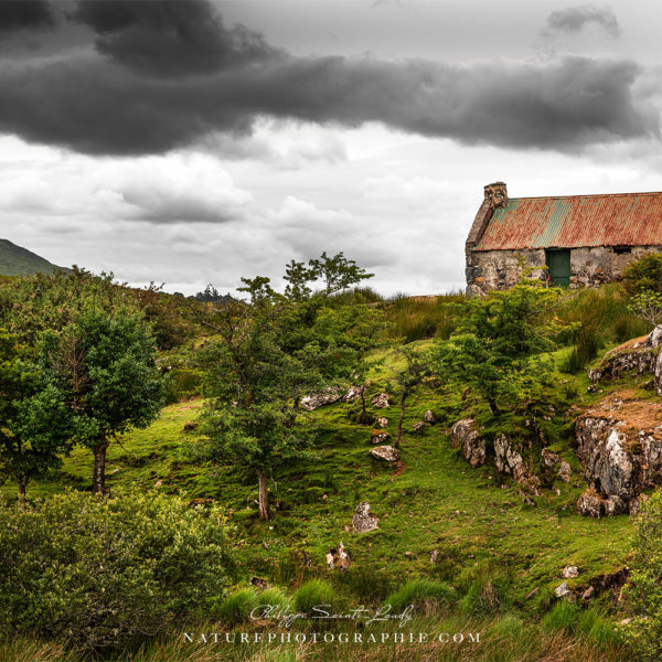 Mankind in Wilderness