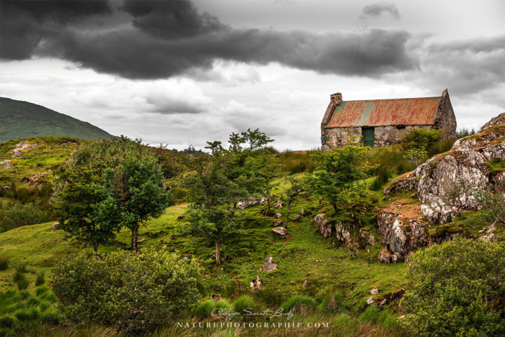 Mankind in Wilderness