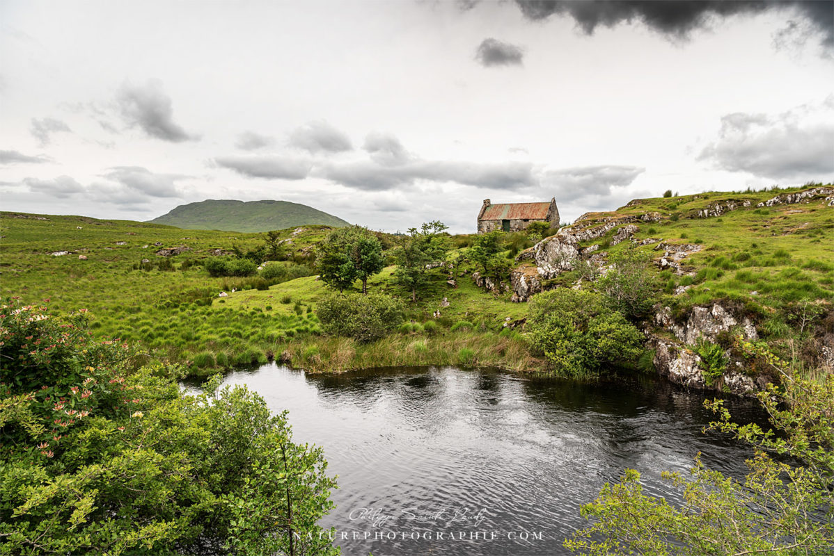 On the to Road to Connemara