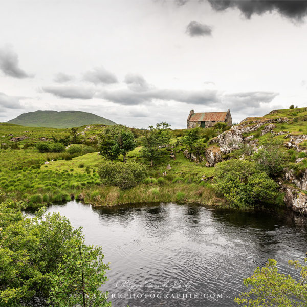 On the to Road to Connemara