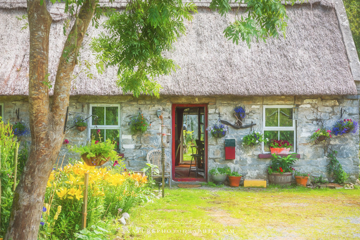 Ferme en Irlande