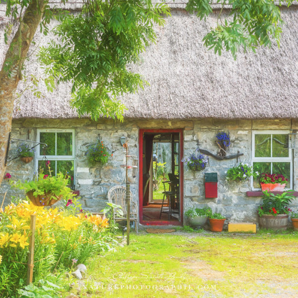 Ferme en Irlande