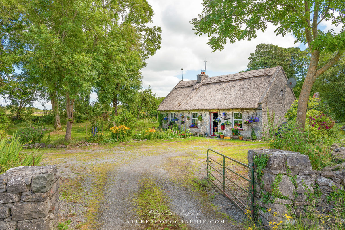 The Happiness House