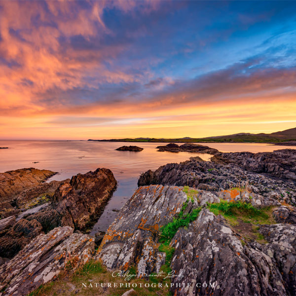 The Song of the World