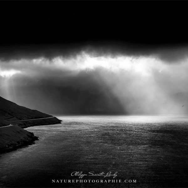 Lights from Heaven Lights from Heaven