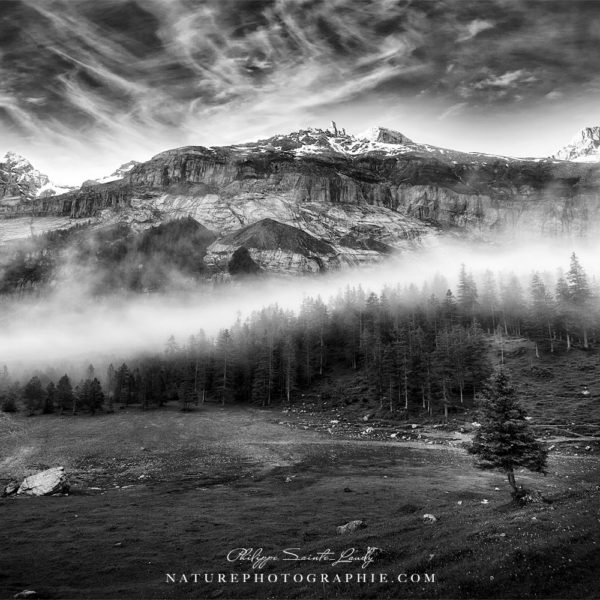 Living in Harmony Living in Harmony