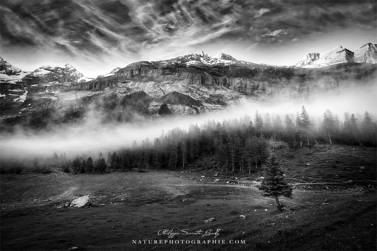  Photos  noir  et blanc La galerie photo  de Nature Photographie