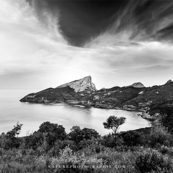 The World According To Us The World According To Us