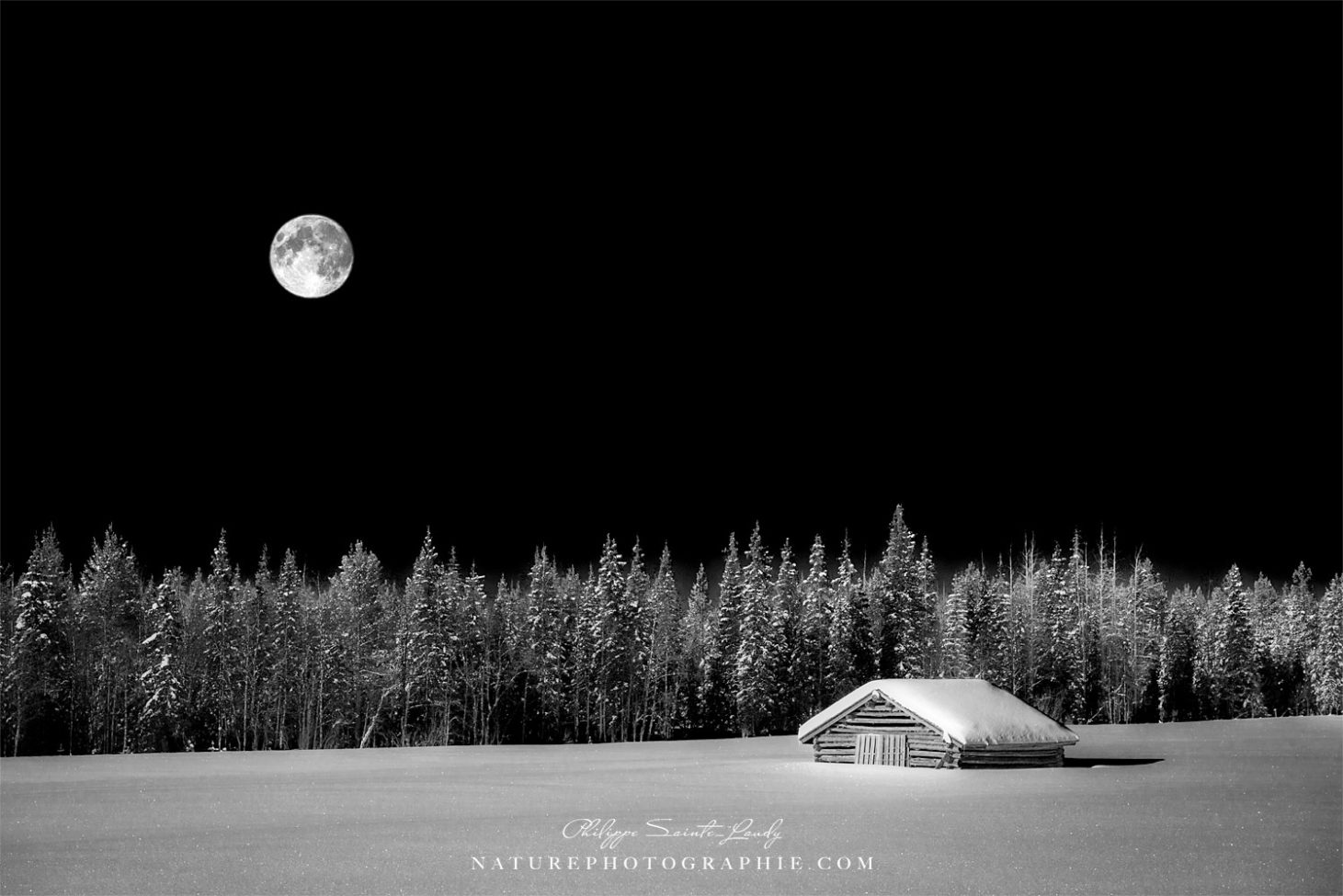 Under The Moon and Over The Sky