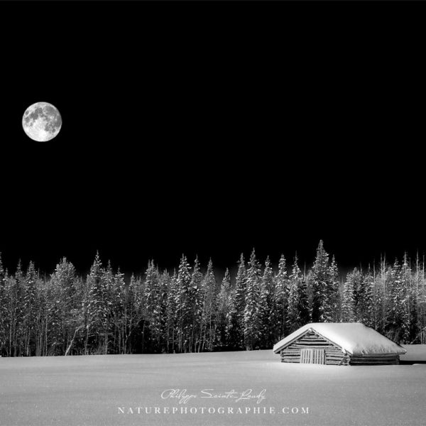 Under The Moon and Over The Sky Under The Moon and Over The Sky
