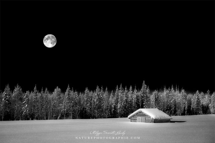 Under The Moon and Over The Sky