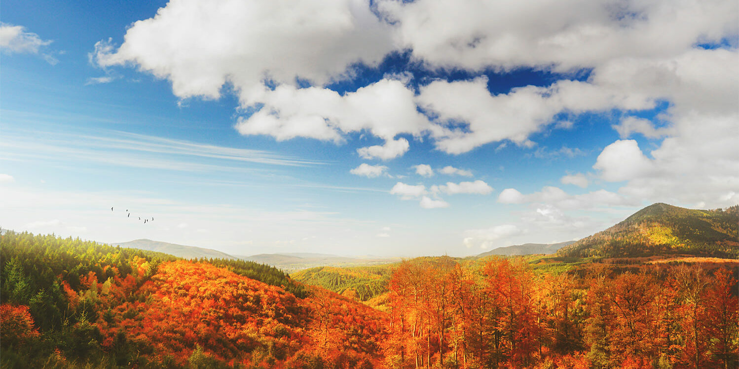 Paysage d'automne
