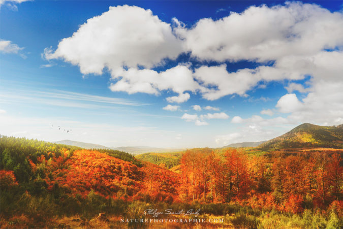 Autumn landscape Paysage d'automne