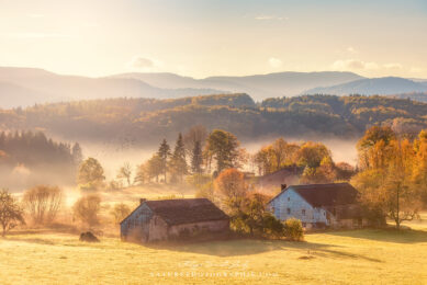 Matin d'automne