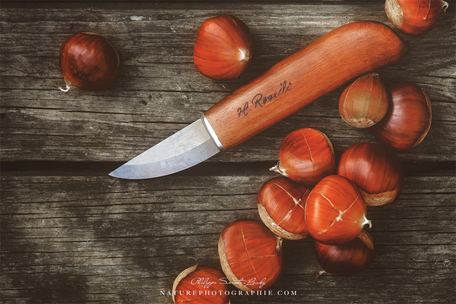 Premières Châtaignes