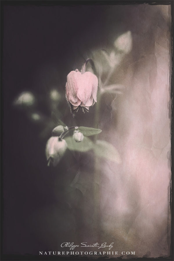 September Melancholia September Melancholia