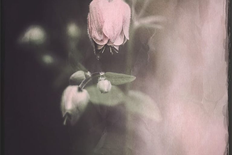 September Melancholia