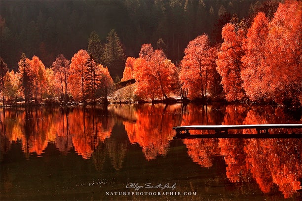 Des arbres se reflètent dans le lac de Gérardmer.