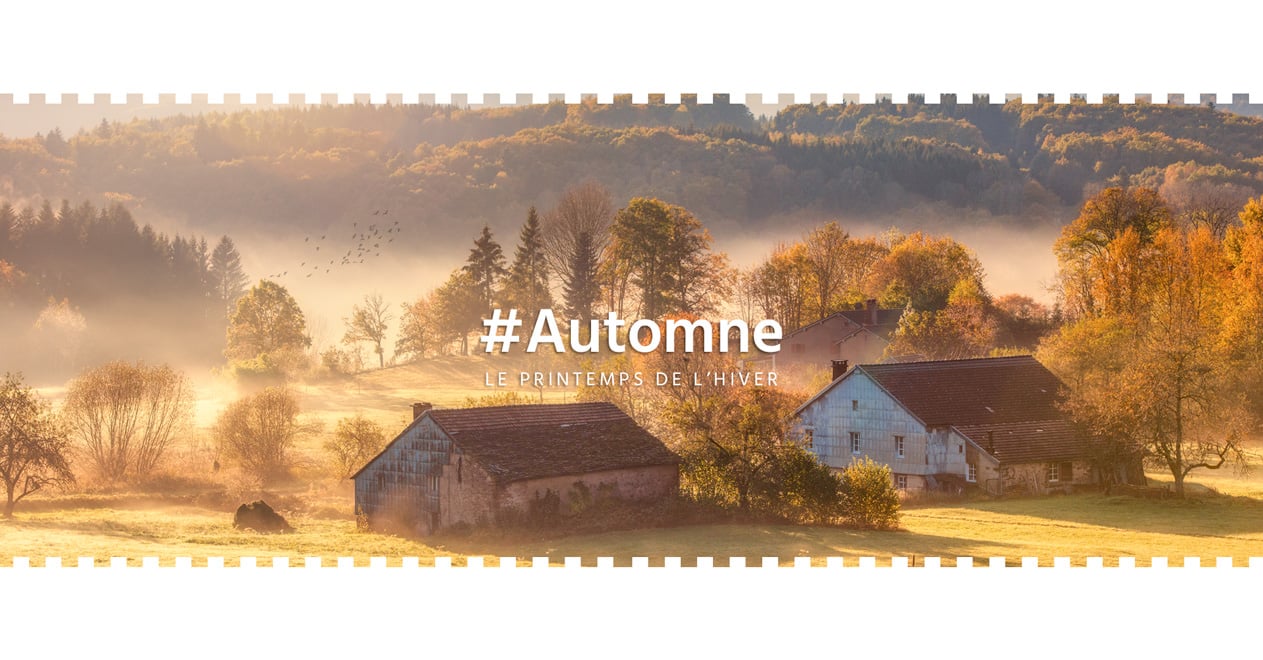 La galerie photos Automne 2018