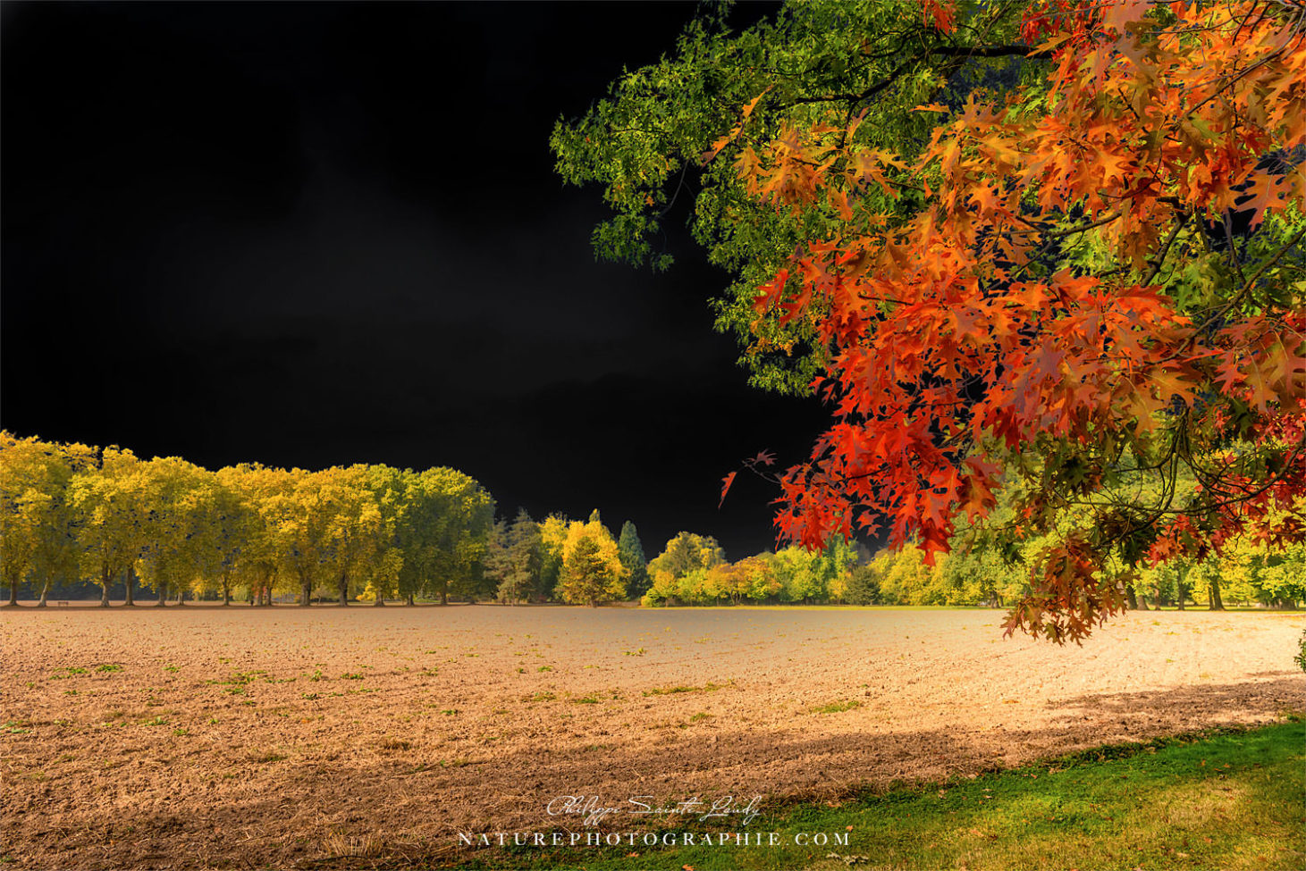Ciel noir et couleurs d'automne