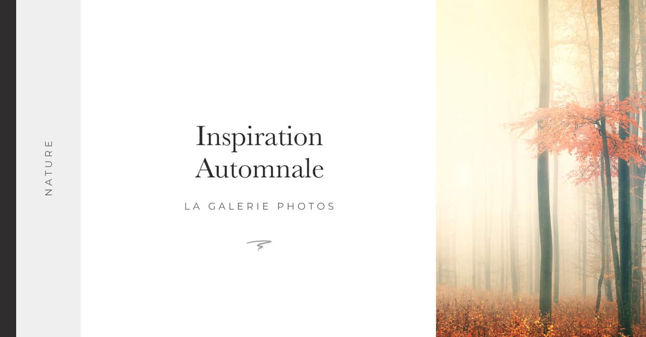 Inspiration-Automnale